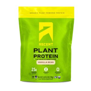 plant-based protein