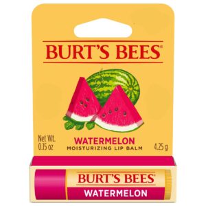 Burt's Bees Watermelon Lip Balm